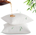 Bamboo Rayon Queen Pillow Protectors