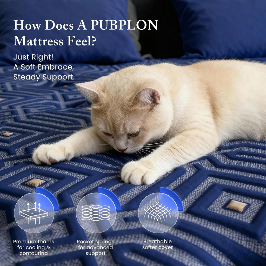 Queen 12" Hybrid Mattress